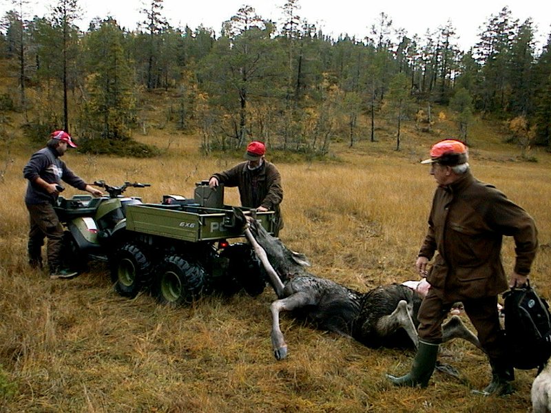 2004 Kvige Stakkjolen_8.jpg - Med 6-hjulig blir fram-frakting enkel match